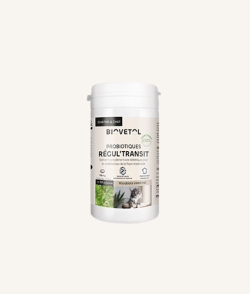 Complément Régul'transit Biovetol pour chat – probiotique au plantain pour digestion
