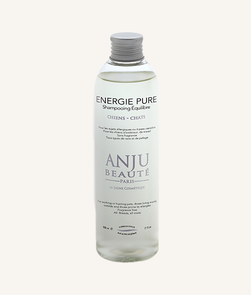 Shampoing pour chien professionnel Anju Beauté pour chien de travail, Sans odeur