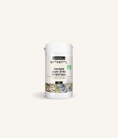 poudre intestinal digestif pour petits mammifère Biovétol