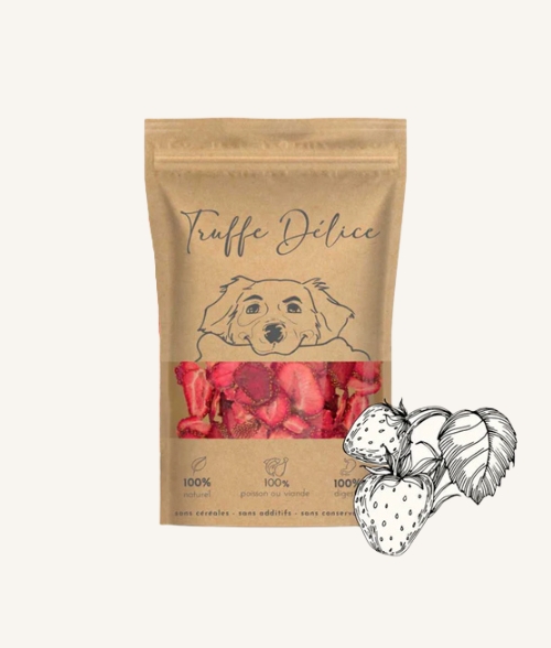 Fraise séchée naturelle – friandise fruitée et riche en antioxydants, pour chien